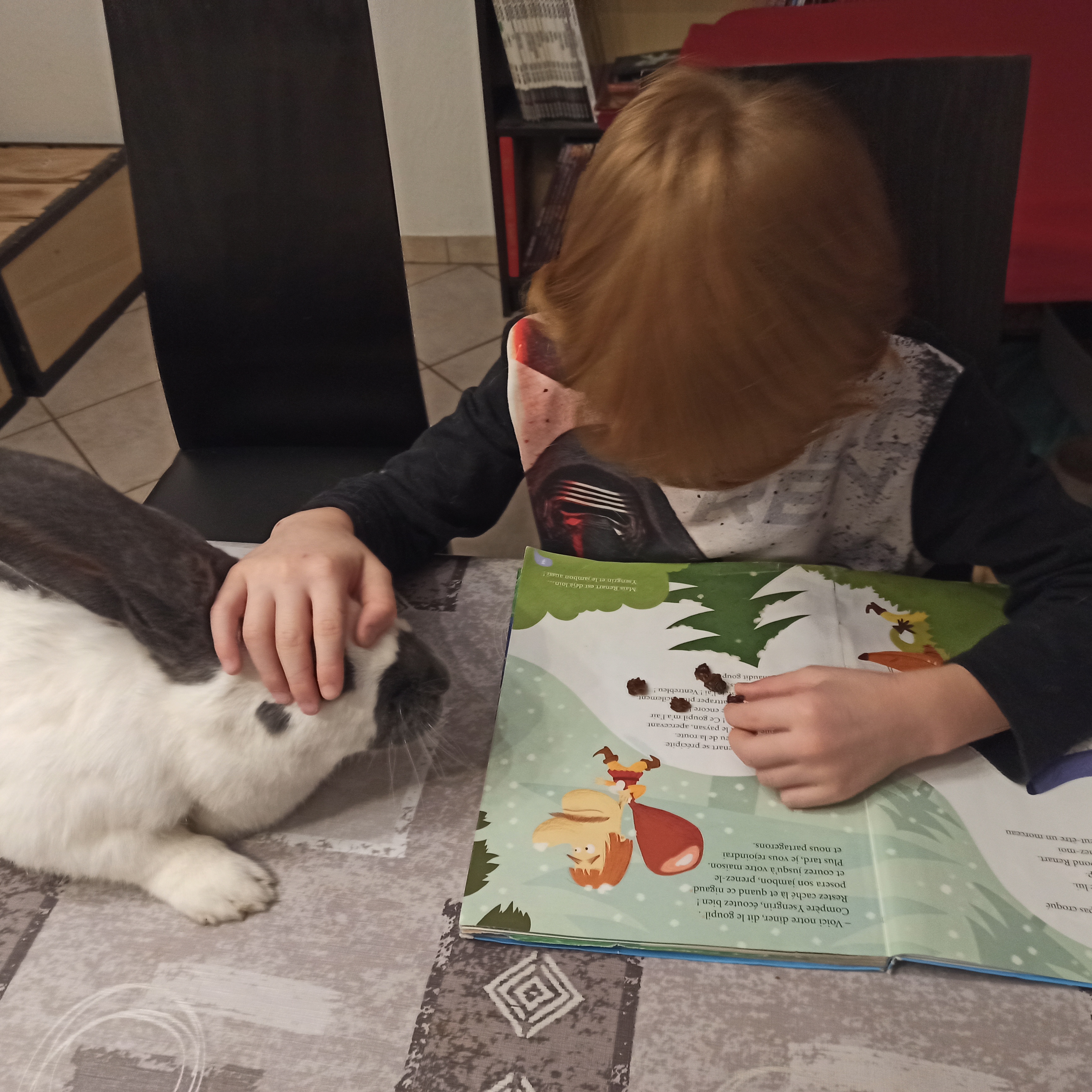education-assistee-animal